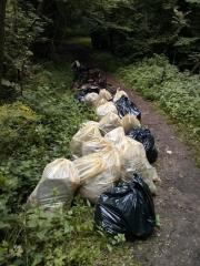 Pobrani odpadki za Šolskim centrom Šentjur